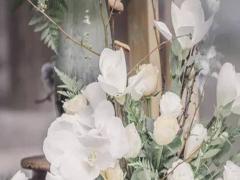 1996年5月8號上升星座