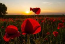 雨天正門口有存水好么