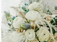 這五大星座對愛情充滿著美好的幻想