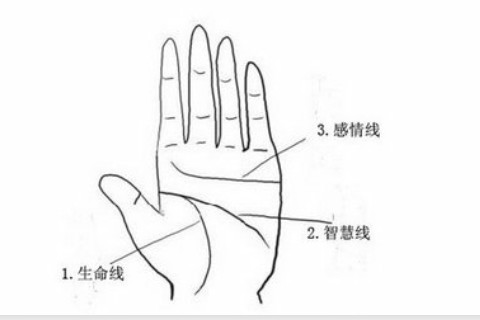 手相分析感情線怎么看幾段戀愛 有鎖鏈紋的女人命苦嗎