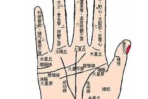 手相中事業(yè)線斷裂?可能代表會經(jīng)歷失敗