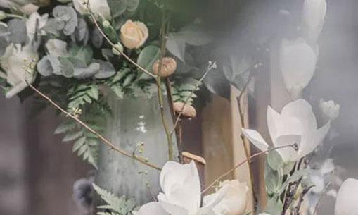 10196-.喜歡刨根問底的星座 10196-.喜歡刨根問底的星座