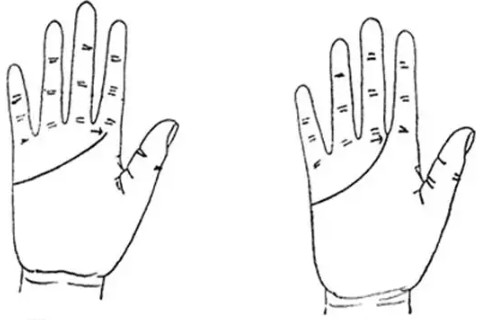 手相中事業(yè)線斷裂?可能代表會經(jīng)歷失敗