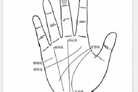女人手相川字掌的婚姻感情?有幫夫運