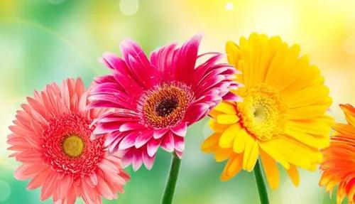 夢見和朋友鬧翻是什么意思 夢見和朋友鬧翻是什么意思