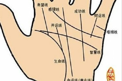 女人手相川字掌的婚姻感情?有幫夫運