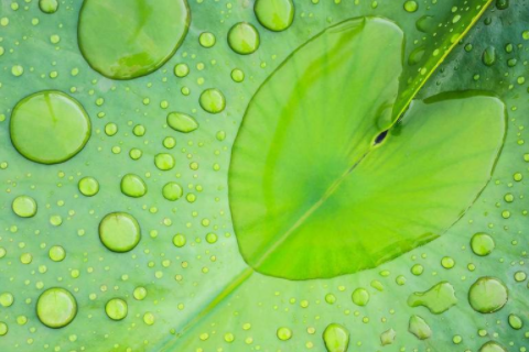 專一男人的面相 無情狠心男人面相