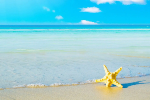 什么星座男偏愛獅子女 能駕馭獅子女的星座男