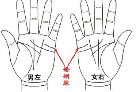 水星丘有豎紋什么意思?思維敏捷