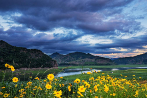 1963年的兔有幾次婚姻 1963出生是什么命