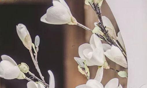 活得肆意 不在乎死亡的星座 活得肆意 不在乎死亡的星座