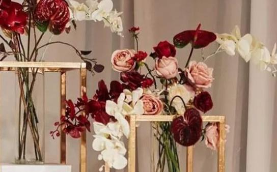 12月份星座運程 12月份星座運程