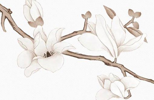 姓名中最好的女孩名字 姓名中最好的女孩名字