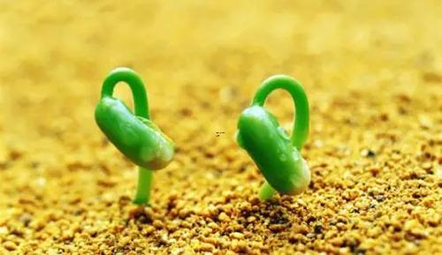 夢見別人生小孩死了是什么意思 夢見別人生小孩死了是什么意思