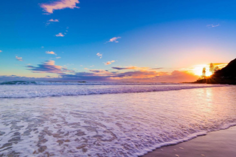 狗進家里是什么預兆 為什么說自來狗是財