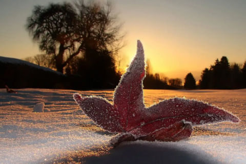 內涵豐富的缺火的男生名字 缺火比較洋氣的男孩名字