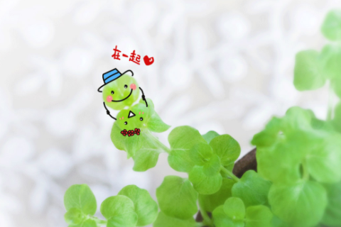 屬羊和屬猴的合不合 屬相猴和羊和財(cái)嗎