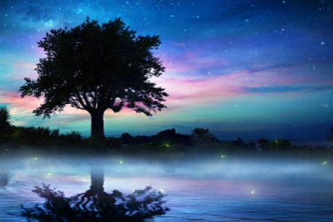 壬午日柱女命?家庭條件很好