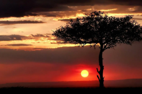 天蝎男喜歡的女生長(zhǎng)相 天蝎座男生的全面分析