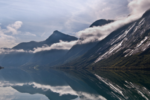 銀杏樹可以種院子里嗎 銀杏樹最大的忌諱