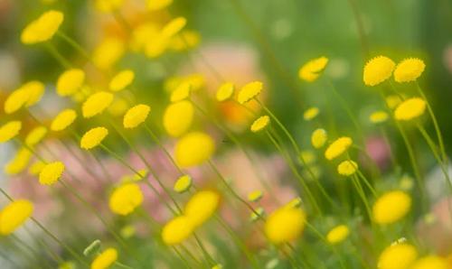 夢見撿到棄嬰 夢見撿到棄嬰