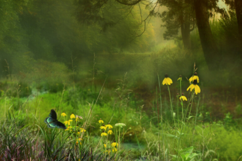 本命年要戴什么東西 本命年真的會運氣不好嗎