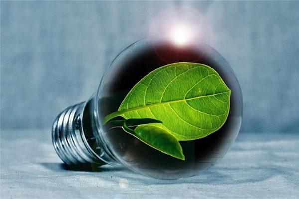 夢(mèng)見被一只烏鴉追，想躲躲不掉