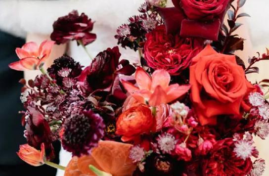 1984年2月27日是什么星座