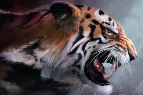 高級好聽帶沐的男孩名字 男孩子叫沐什么好聽