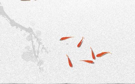 鄭姓女孩二字名字 鄭姓女孩二字名字