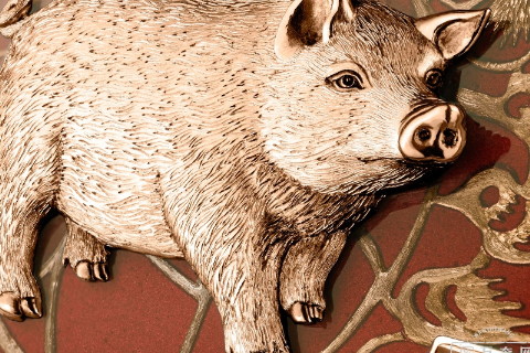 屬豬人命中注定的伴侶?和屬羊三觀一致