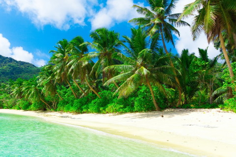 乙酉日出出生的人的人怎么樣?身體很虛弱