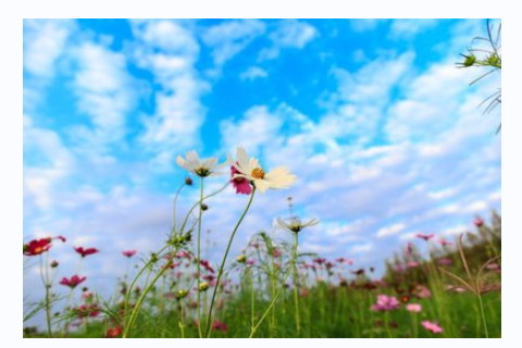 癸亥日柱男命好不好事業(yè)財運如何