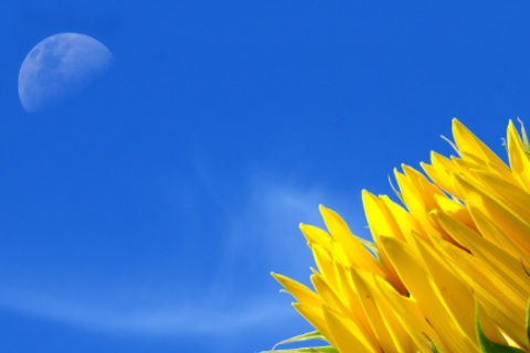 女人右下眼皮跳的預兆 所有時間段右眼皮跳的解析