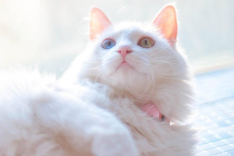 探視坐月子的人不吉利嗎 探望新生兒禁忌