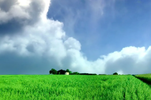 11月25號是什么星座的 能把射手座迷得死死的星座