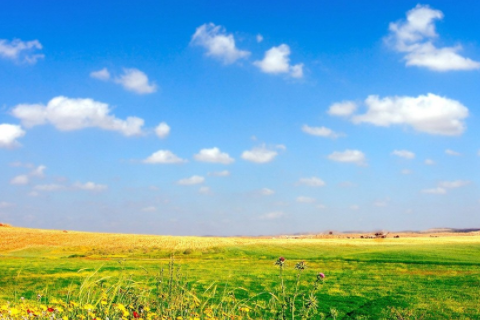 1985年是什么命 85年37歲有一災(zāi)嗎