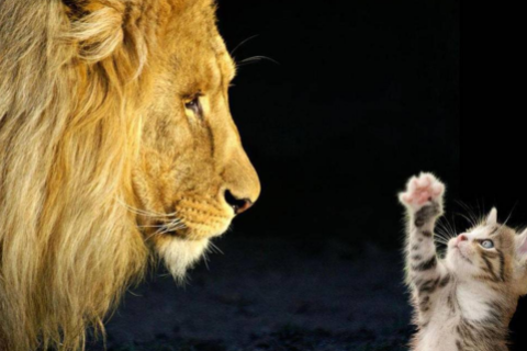 順口優雅的女孩名字 一聽就很干凈的名字女