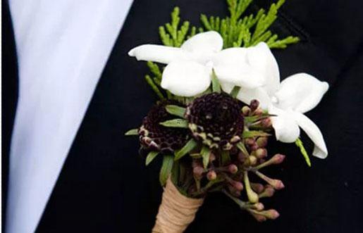 衣柜中的衣服都是白色系的星座 衣柜中的衣服都是白色系的星座