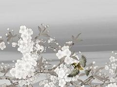 兔年運勢測算2022