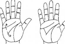 女人手指粗的命運如何?木形手是怎么樣的