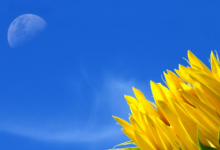 西四命是什么意思 西四命是富貴命嗎