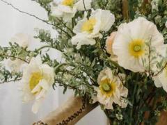 喜歡把話說反不能正確表達的星座