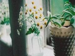 夢見死人復活是什么意思