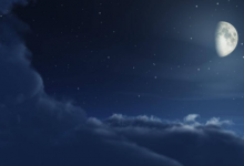 家里栽枸杞不吉利嗎 枸杞樹的風水意義是什么