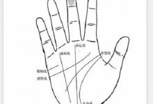 金星丘飽滿的男人怎么樣?財運旺事業順