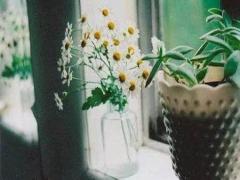 夢見朋友打架被**
抓走是什么意思