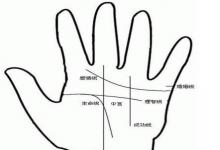 水形手的人好不好?感情運勢如何