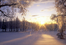 天蝎男喜歡的女生長相 天蝎座男生的全面分析