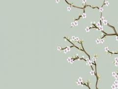 2022年屬蛇女5月運(yùn)勢(shì)